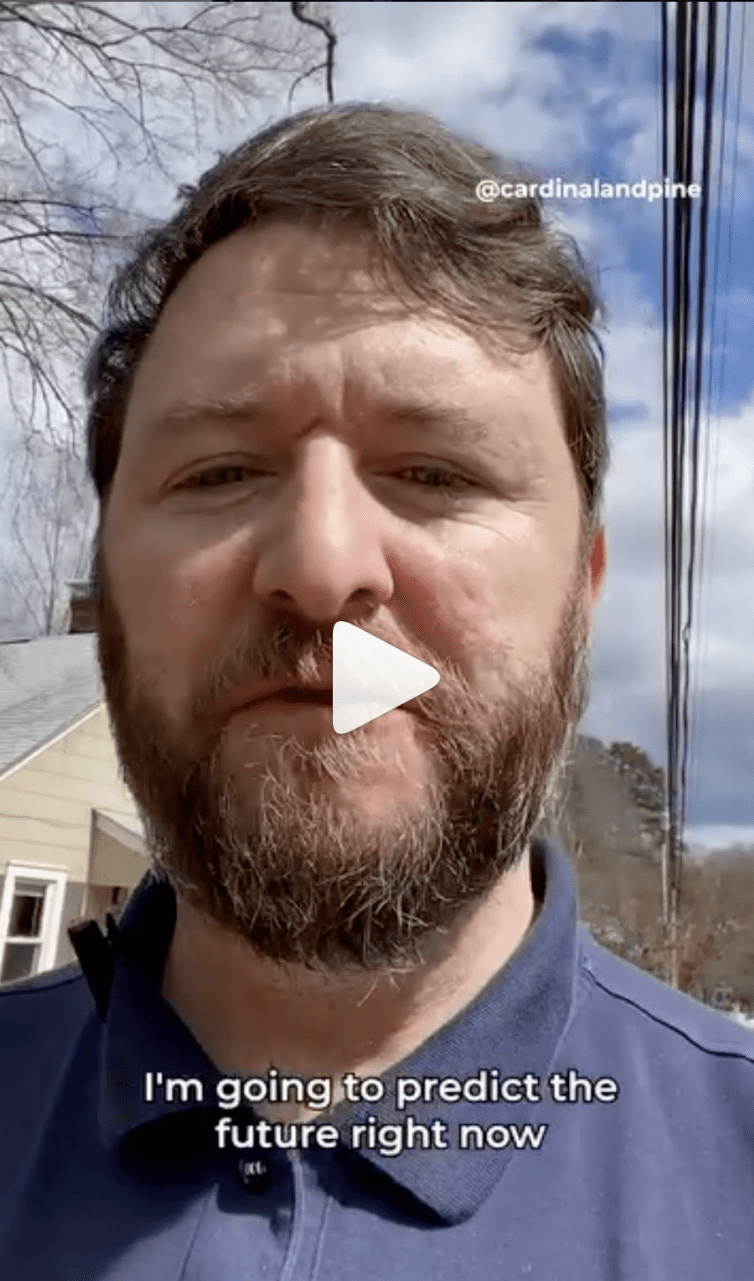 POLITICS VIDEO - Cardinal & Pine